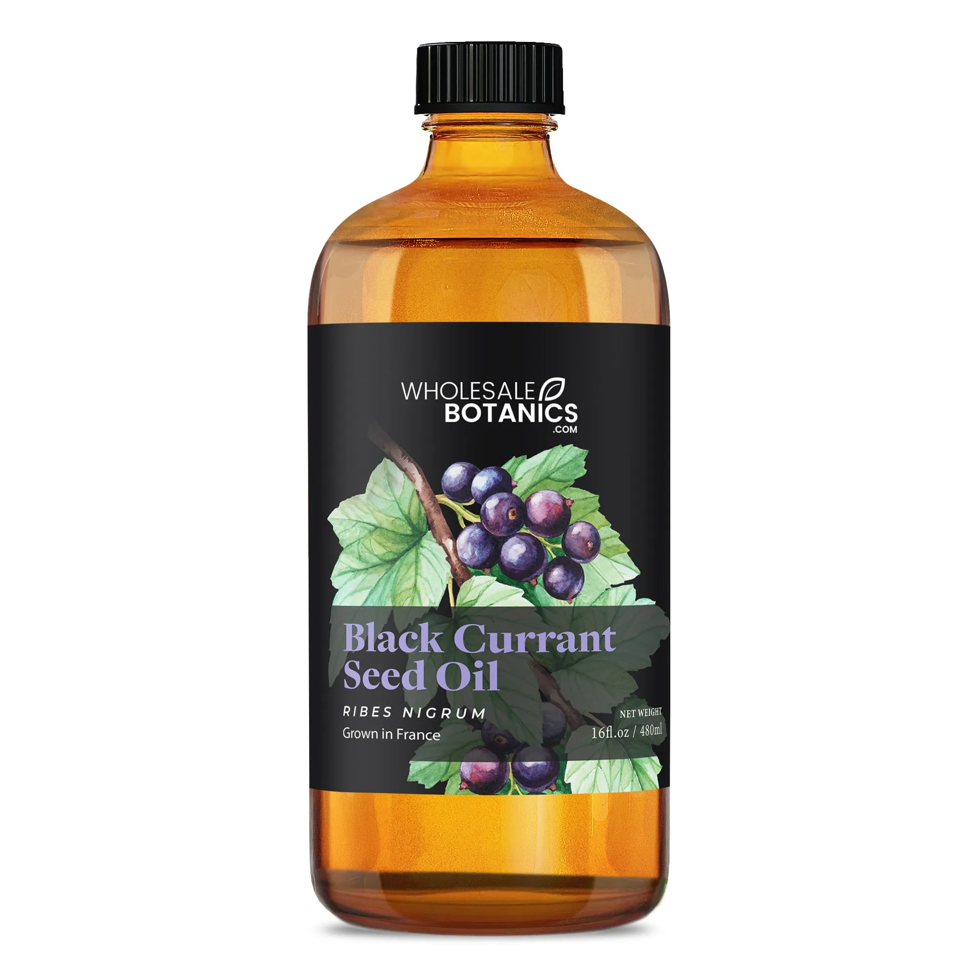 Black Currant Seed Oil