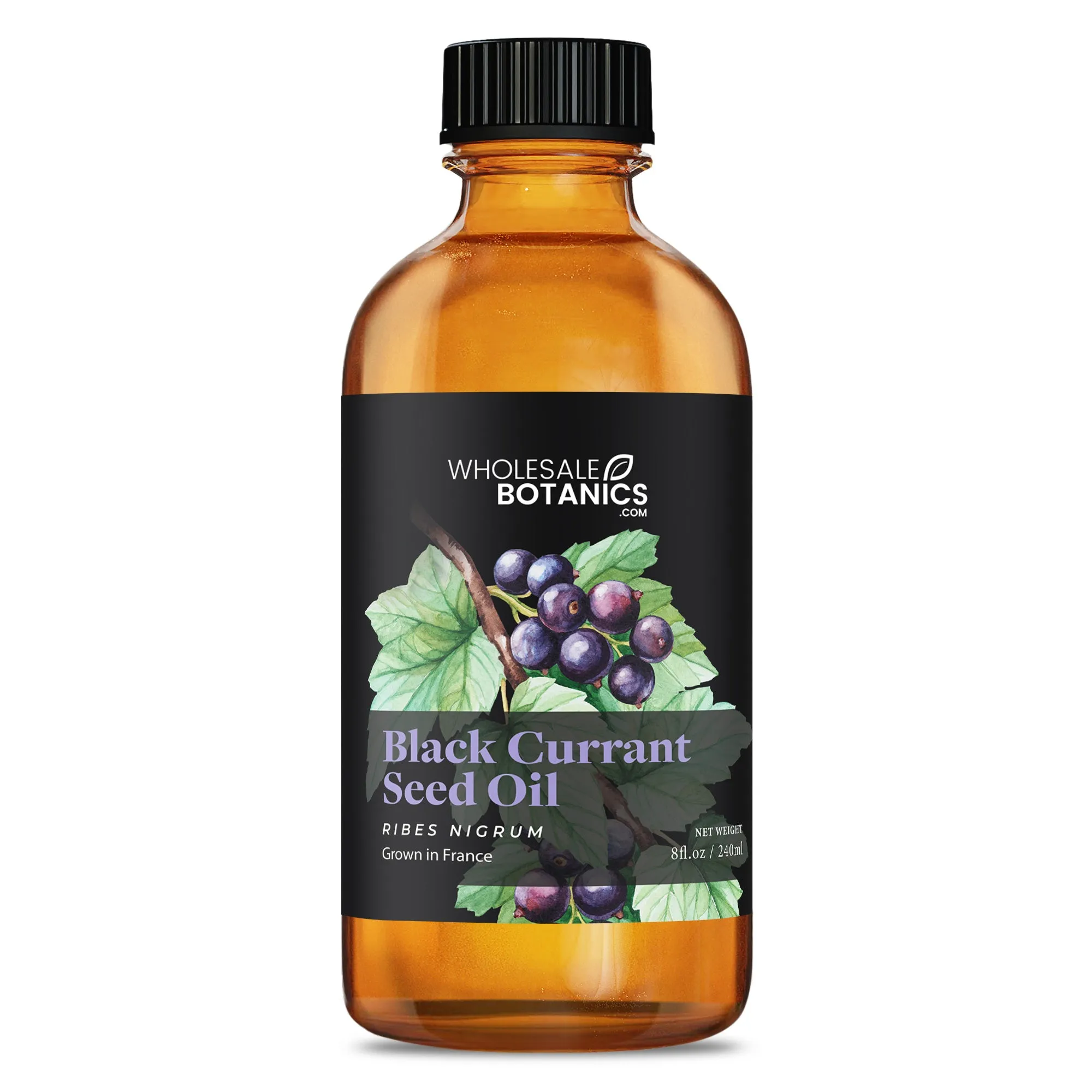 Black Currant Seed Oil