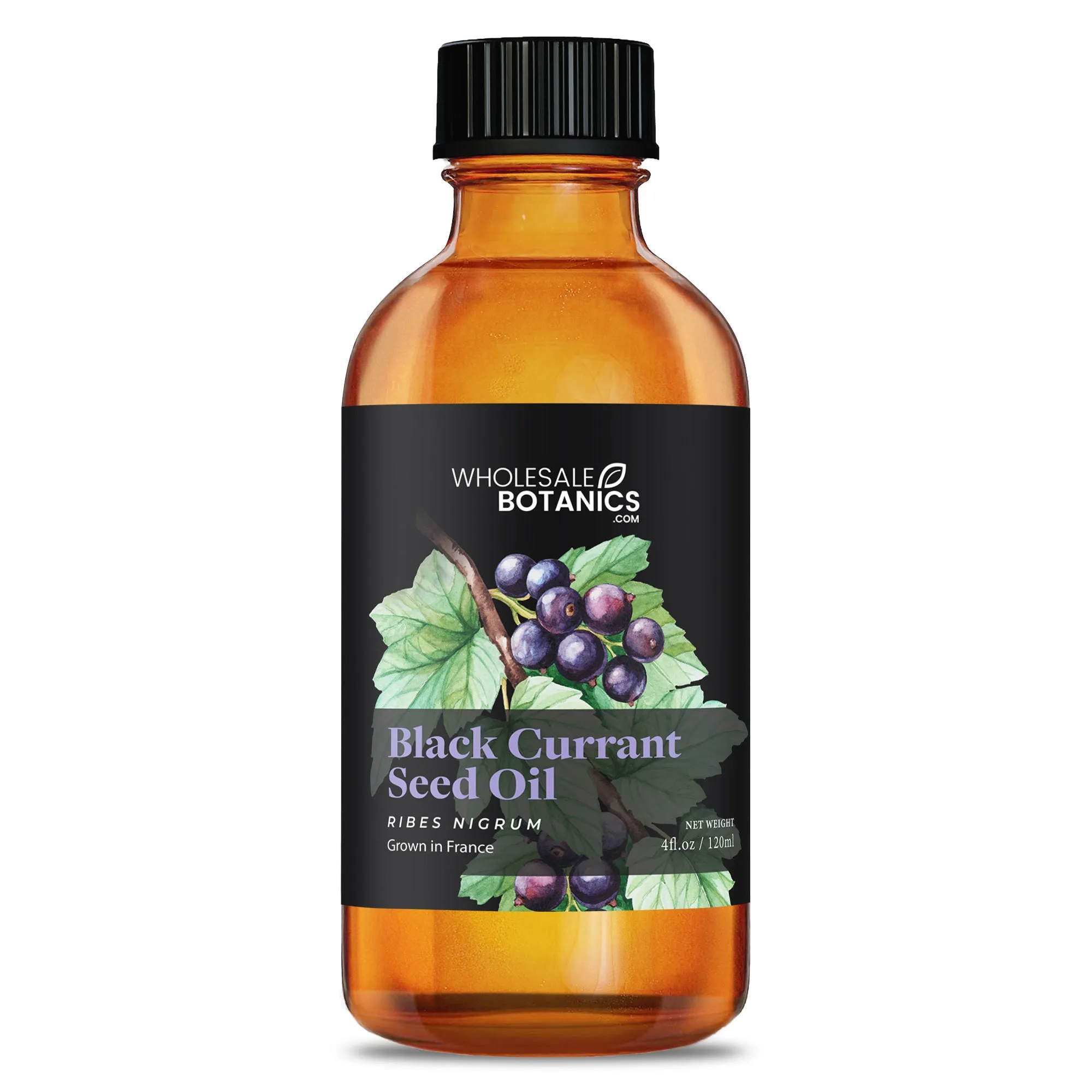 Black Currant Seed Oil