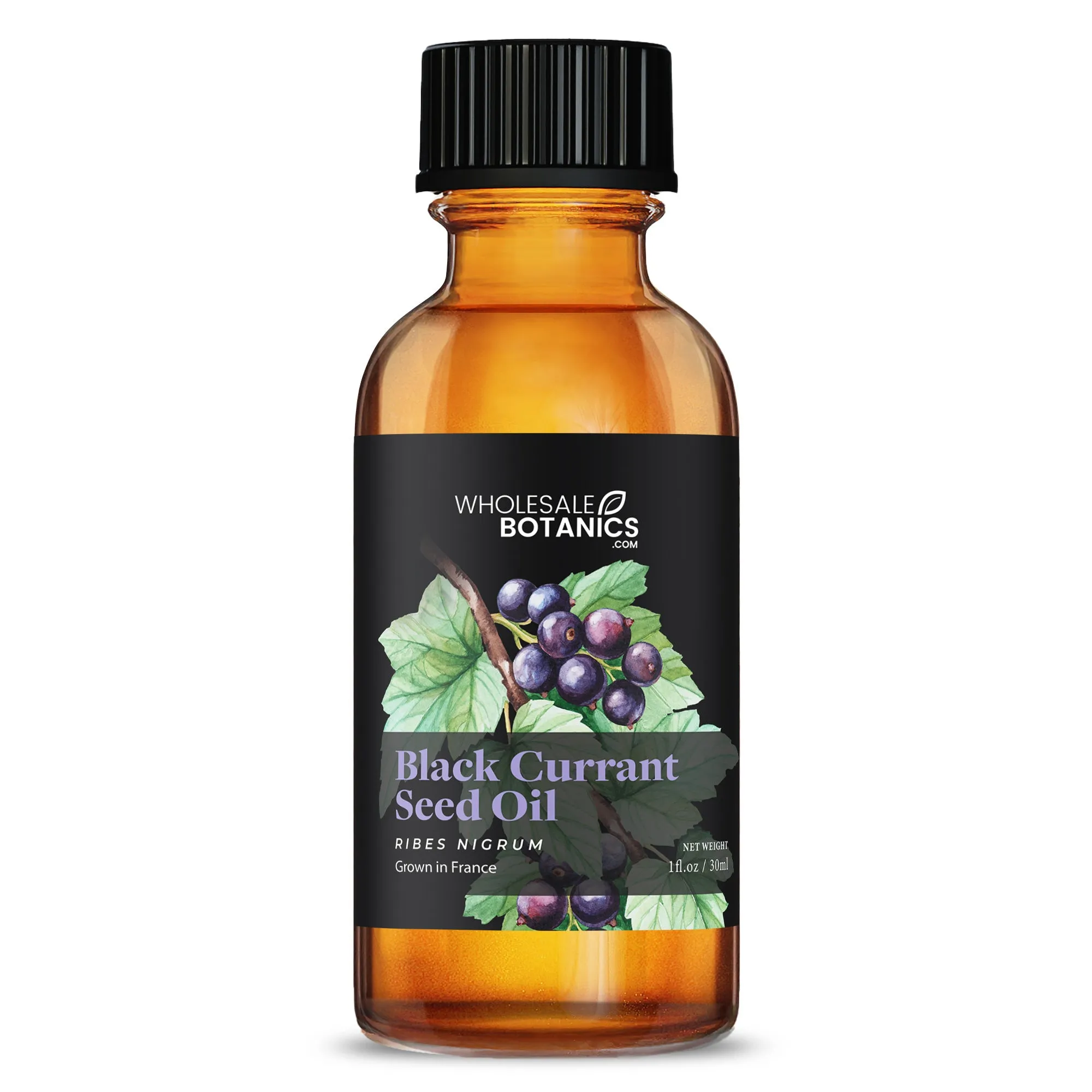 Black Currant Seed Oil