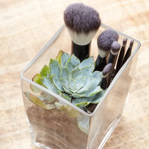 Sh. professional synthetic travel brush set